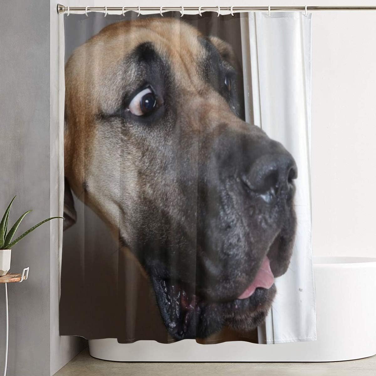 Labrador Dog Staring Animal Print Shower Curtain for Funny Bathroom Decor