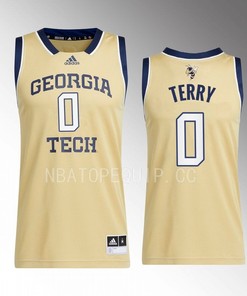 Lance Terry 0 Georgia Tech Yellow Jackets Beige Jersey 2022-23 Swingman Basketball