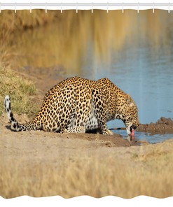 Leopard in Africa Safari Shower Curtain for Bathroom Decor - Animal Print