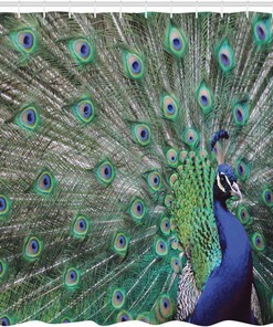 Majestic Feathered Peacock Shower Curtain with Open Wings Display Bathroom Decor