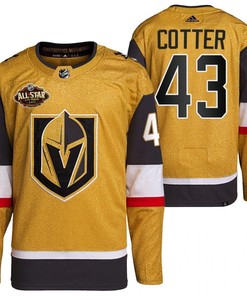 Men Vegas Golden Knights 43 Paul Cotter Primegreen Gold Jersey 2023 All-Star Jersey
