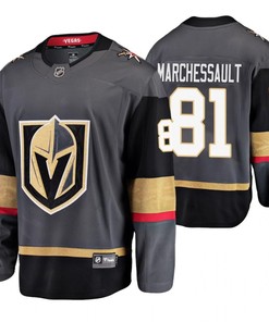 Men Vegas Golden Knights Jonathan Marchessault 81 Gray Home Breakaway Player Jersey Jersey