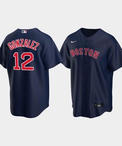 Men's Boston Red Sox Marwin Gonzalez Navy Alternate Jersey