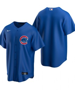 Mens Chicago Cubs Mlb Baseball Team Alternate Royal Jersey Gift For Cubs Fans