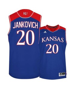 Michael Jankovich 20 Kansas Jayhawks Basketball Men Jersey - Blue