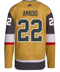 Mike Amadio 22 Vegas Golden Knights Stanley Cup 2023 Final Patch Home Breakaway Men Jersey - Gold