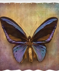 Monarch Butterfly Shower Curtain, Vintage British Grunge Victorian Photography Art Theme Print for Bathroom Décor