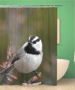 Mountain Chickadee Bird Shower Curtain - Black and White Colorado Conservation Ornithology Passerine Bath Decor
