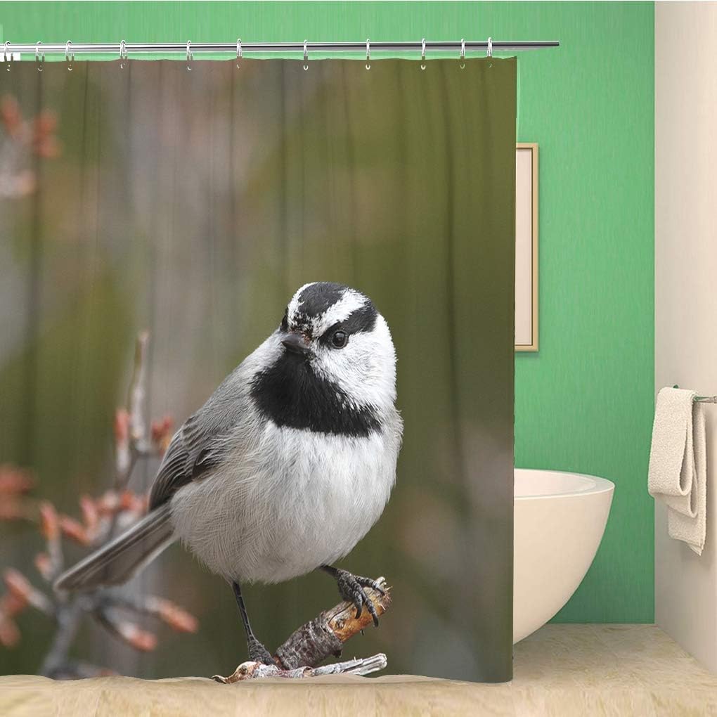 Mountain Chickadee Bird Shower Curtain - Black and White Colorado Conservation Ornithology Passerine Bath Decor
