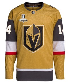 Nicolas Hague 14 Vegas Golden Knights Stanley Cup 2023 Champions Patch Home Breakaway Men Jersey - Gold