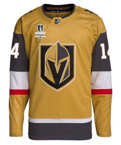 Nicolas Hague 14 Vegas Golden Knights Stanley Cup 2023 Final Patch Home Breakaway Men Jersey - Gold