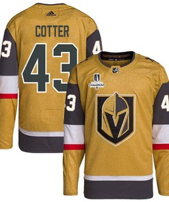 Paul Cotter 43 Vegas Golden Knights Stanley Cup 2023 Champions Patch Home Breakaway Men Jersey - Gold