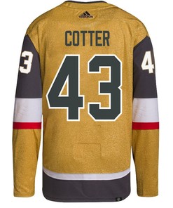 Paul Cotter 43 Vegas Golden Knights Stanley Cup 2023 Final Patch Home Breakaway Men Jersey - Gold