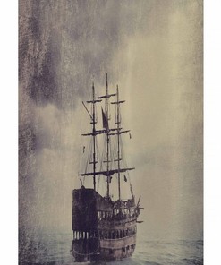 Pirate Ship Retro Voyage Nautical Stall Shower Curtain, Fabric Plum Tan Bathroom Decor