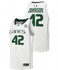 Reggie Johnson 42 Miami Hurricanes College Basketball Men Jersey - White
