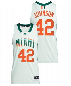 Reggie Johnson 42 Miami Hurricanes Honoring Black Excellence Basketball Men Jersey - White