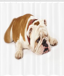 Sad Bulldog Cloth Fabric Shower Curtain, Tired European Pure Breed Animal Photography, Bathroom Decor