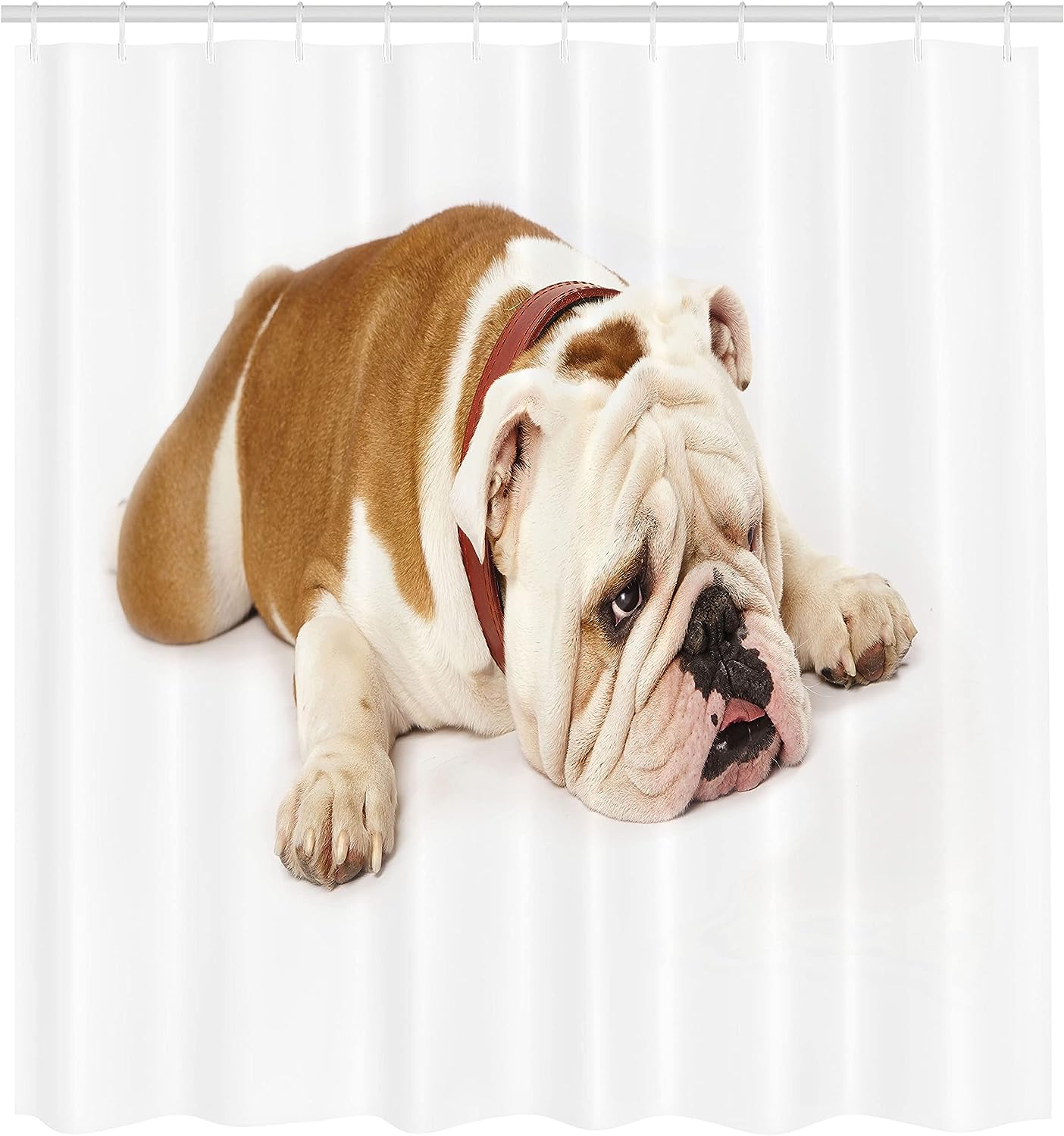 Sad Bulldog Cloth Fabric Shower Curtain, Tired European Pure Breed Animal Photography, Bathroom Decor