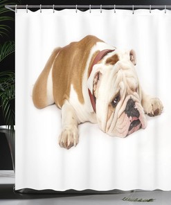 Sad Bulldog Cloth Fabric Shower Curtain, Tired European Pure Breed Animal Photography, Bathroom Decor