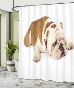 Sad Bulldog Cloth Fabric Shower Curtain, Tired European Pure Breed Animal Photography, Bathroom Decor