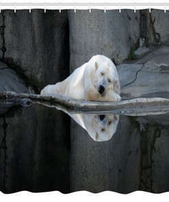 Sleeping Calm Zoo Animal Shower Curtain with Bear Print for Bathroom