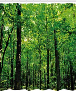 Sunny Day Tree Forest Jungle Nature Shower Curtain Green Brown Bathroom Decor