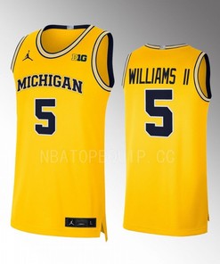 Terrance Williams II 5 Michigan Wolverines Limited Uniform Jersey 2022-23 College Basketball Maize