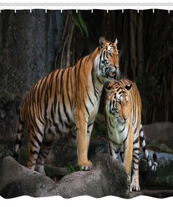 Tiger Couple in Jungle Shower Curtain for Bathroom Decor - Animal Print