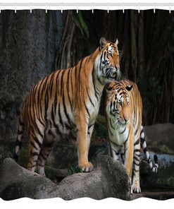 Tiger Couple in Jungle Shower Curtain for Bathroom Decor - Animal Print