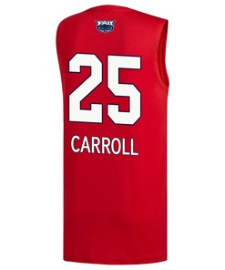 Tre Carroll 25 FAU Owls 2023 March Madness Basketball Men Jersey- Red