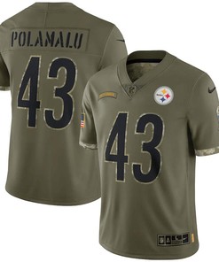 Troy Polamalu Pittsburgh Steelers 2022 Salute To Service Retired Player Limited Jersey - Olive