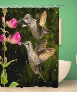 Two Hummingbirds Visit Pink Flowers in Raining Day Shower Curtain - Green Bathroom Decor