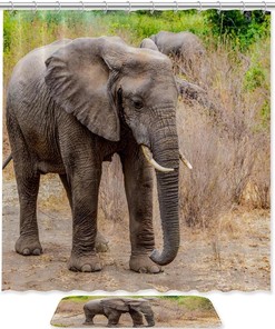 Walking African Elephant Waterproof Shower Curtain for Jungle Bathroom Decor