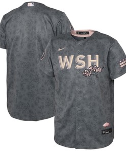 Washington Nationals 2022 City Connect Replica Jersey - Gray Mlb