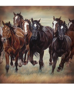 Wild Horses Fabric Shower Curtain Rustic Western Home Decor