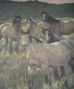 Wild Horses Mountains Shower Curtain for Rustic Bathroom Decor