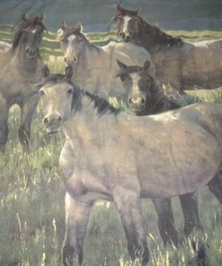 Wild Horses Mountains Shower Curtain for Rustic Bathroom Decor
