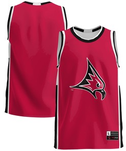Wisconsin-river Falls Falcons Basketball Jersey - Red Ncaa