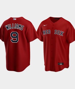 Youth Boston Red Sox 9 Ted Williams Alternate Red Jersey