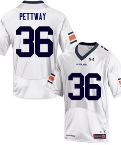 Auburn Tigers White Kamryn Pettway College Football Jersey