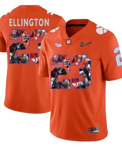 Clemson Tigers Orange Andre Ellington College Football Portrait Jersey
