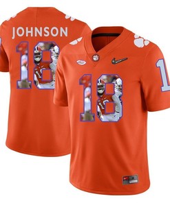 Clemson Tigers Orange Jadar Johnson College Football Portrait Jersey