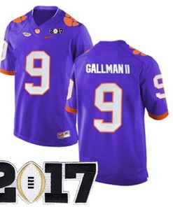 Male Clemson Tigers #9 Wayne Gallman II Purple College Football Jersey