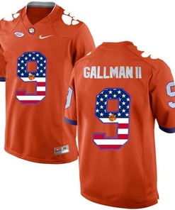 Male Clemson Tigers Orange Wayne Gallman II NCAA Football Fashion Jersey