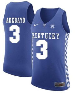 Male Kentucky Wildcats Royal Edrice Adebayo NCAA Basketball Jersey