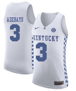 Male Kentucky Wildcats White Edrice Adebayo NCAA Basketball Jersey