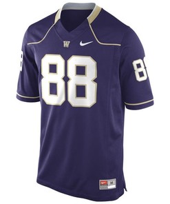 Male Washington Huskies Purple College Football Premier Jersey