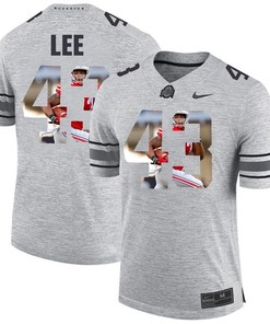 Men Ohio State Buckeyes Gray Darron Lee College Football Fashion Jersey
