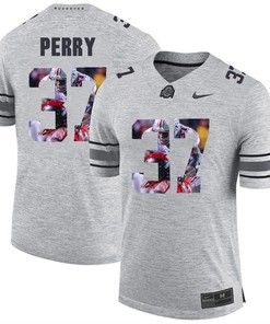 Men Ohio State Buckeyes Gray Joshua Perry College Football Fashion Jersey