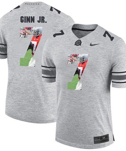 Men Ohio State Buckeyes Gray Ted Ginn Jr. College Football Fashion Jersey